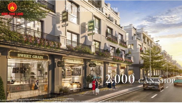 MỘT SIÊU PHẨM SHOPHOUSE TLA-396 – PHÂN KHU QUÝ TỘC